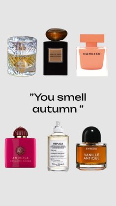 Fall Parfum, Fall Perfumes For Women, Perfume Moodboard, Fall Fragrance