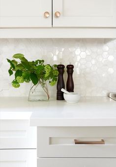 a kitchen counter with white cabinets and green plants in a vase on the counter top