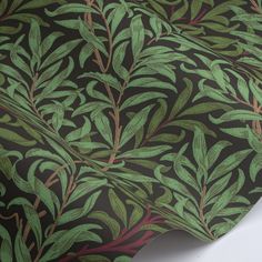 a green and brown leafy pattern on a black wallpaper with red trimmings