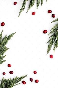 christmas greenery with pomegranates and pine branches on a white background