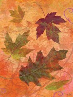 three autumn leaves on an orange background