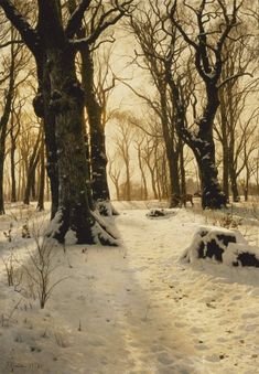 a painting of snow covered trees and benches in a park with sun shining through the branches