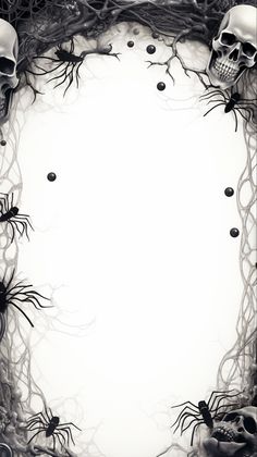 a black and white photo with skulls, spider webs and other things in the frame