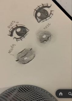 the drawing shows three different types of eyes