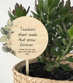 a wooden sign that says teachers plant seeds that grow forever on a potted plant