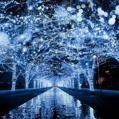 an outdoor walkway covered in blue lights and christmas trees at night with snow falling on the ground