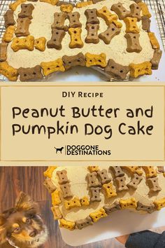 the recipe for this peanut butter and pumpkin dog cake is so good it's easy to make