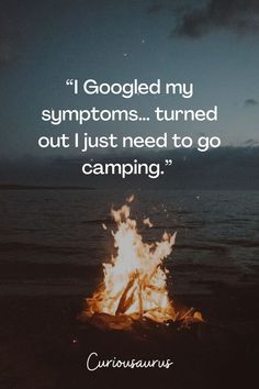 a campfire with the quote i googled my symptoms turned out just need to go camping