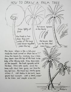 a drawing of palm trees with the words how to draw a palm tree