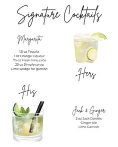 the ingredients for a margarita cocktail are shown in this graphic style, including limeade and ginger