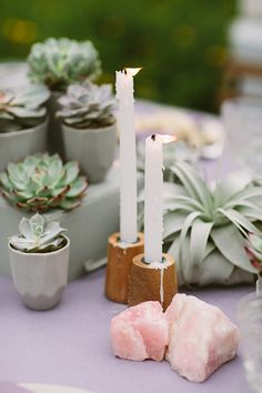 the table is set with succulents and candles