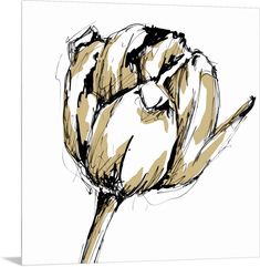 Metal Print entitled Gold Tulip II.  Multiple sizes available.  Primary colors within this image include White, Black, Gray.  Made in the USA.  Satisfaction guaranteed.  Archival-quality UV-resistant inks.  Canvas is a 65 polyester, 35 cotton base, with two acrylic latex primer basecoats and a semi-gloss inkjet receptive topcoat.  Canvases have a UVB protection built in to protect against fading and moisture and are designed to last for over 100 years. Tulip Sketch, Watercolor Techniques, Modern Frames, Big Canvas Art, Wrapped Canvas Art, Museum Art, Art Sur Toile, High Quality Art Prints, Red Barrel Studio