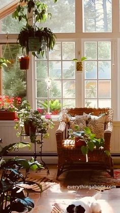 a living room filled with lots of potted plants on top of windowsills