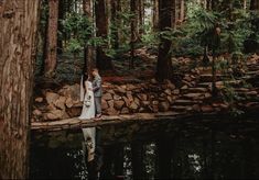 a bride and groom are standing on a log in the woods near a pond with rocks