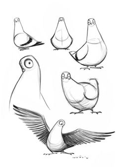 sketches of birds with different angles and sizes