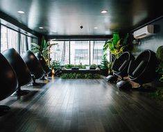 an empty room with chairs and plants in it