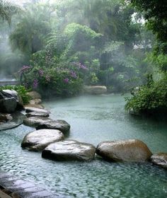 a river with rocks in it surrounded by lush green trees and flowers on either side