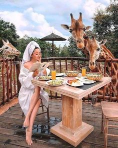 a woman sitting at a table with two giraffes