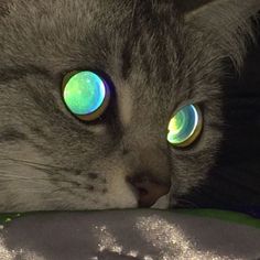 a gray cat with glowing eyes laying on a blanket looking at something in the distance