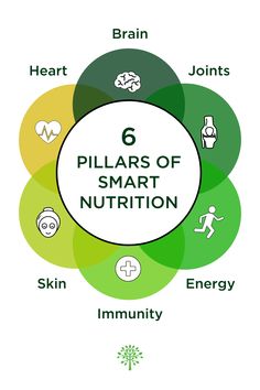 Nutritional intake is a key factor for overall health — the 6 Pillars of Smart Nutrition is your blueprint to wellness. #SmartNutrition Krill Oil, Grape Seed Extract, Balanced Life, Good Fats, Healthy Mind, Brain Health, Overall Health, High Energy, Life Balance