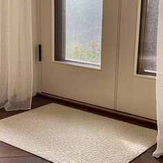 a cat is sitting on the floor in front of a door and looking out at the outside