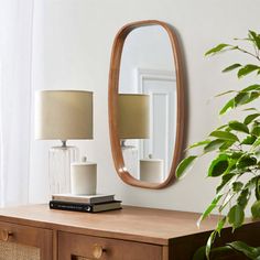 a wooden dresser topped with a mirror and lamp next to a potted green plant