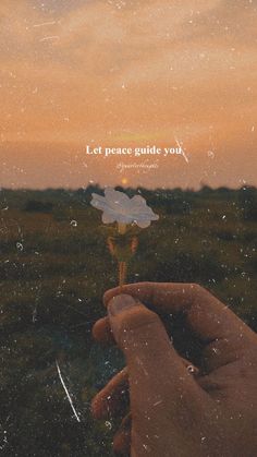 a person holding a flower in their hand with the words let peace outside your written on it