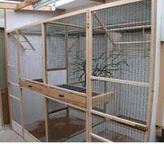 a large bird cage with plants inside of it