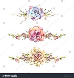 three watercolor flowers and leaves on a white background, each with their own name