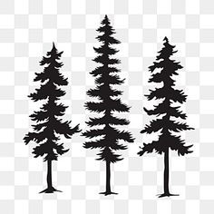 three pine trees silhouetted against a white background