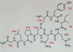 Chemistry Tattoo, chemistry tattoo sleeve, chemistry tattoo fails, chemistry tattoo dopamine, chemistry tattoo chest, organic chemistry tattoo, body chemistry tattoo, organic chemistry tattoo ideas, love chemistry tattoo, morbid chemistry tattoo, popular chemistry tattoo, minimalist chemistry tattoo, happiness chemistry tattoo, coffee chemistry tattoo, best chemistry tattoo #chemistrytattoo #organicchemistrytattoo #chemistry #organicchemistry #minimaltattoo #illustrativetattoo