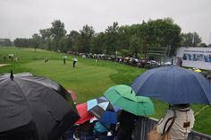 several people with umbrellas watching a golf match on a cloudy day in the rain