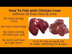 how to fish with chicken livers without all that mess & time