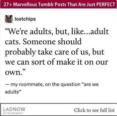 an image of someone's tweet about cats and the caption reads,