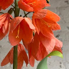 an orange flower in a green vase on a white tablecloth with concrete wall behind it