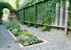 an outdoor garden area with gravel and plants