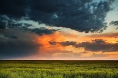 the sun is setting over an open field with tall grass and clouds in the background