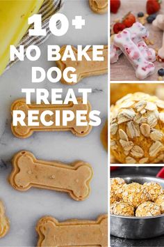 the top ten no bake dog treat recipes