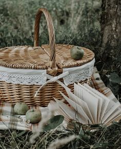 an empty picnic basket sitting on top of a blanket next to some books and apples