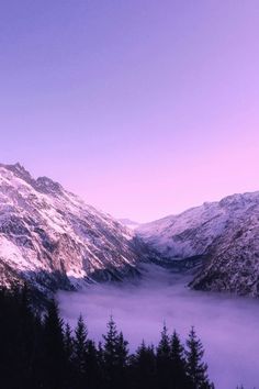 the mountains are covered in snow and fog as they rise above the trees on either side