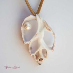 a white shell with a pearl hanging from it's side on a leather cord