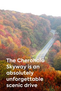 a road surrounded by trees with the words, the cherohad skyway is an absolutely unforgettable scenic drive