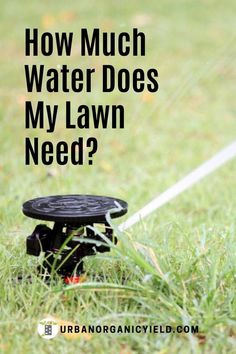 a lawn mower sitting in the grass with text overlay saying how much water does my lawn need?