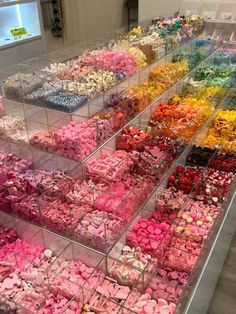 a display case filled with lots of different colored candies