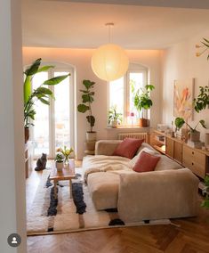 a living room filled with lots of furniture and potted plants on top of it