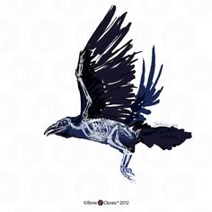 a drawing of a bird with skeleton wings