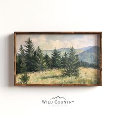 a painting hanging on the side of a wall next to a wooden framed sign that says wild country