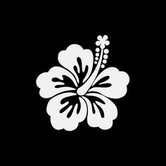 a white flower on a black background