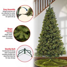 an image of a christmas tree with instructions on how to cut it and place it in the ground