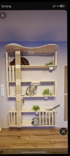 the cat tree is made out of wooden pallets